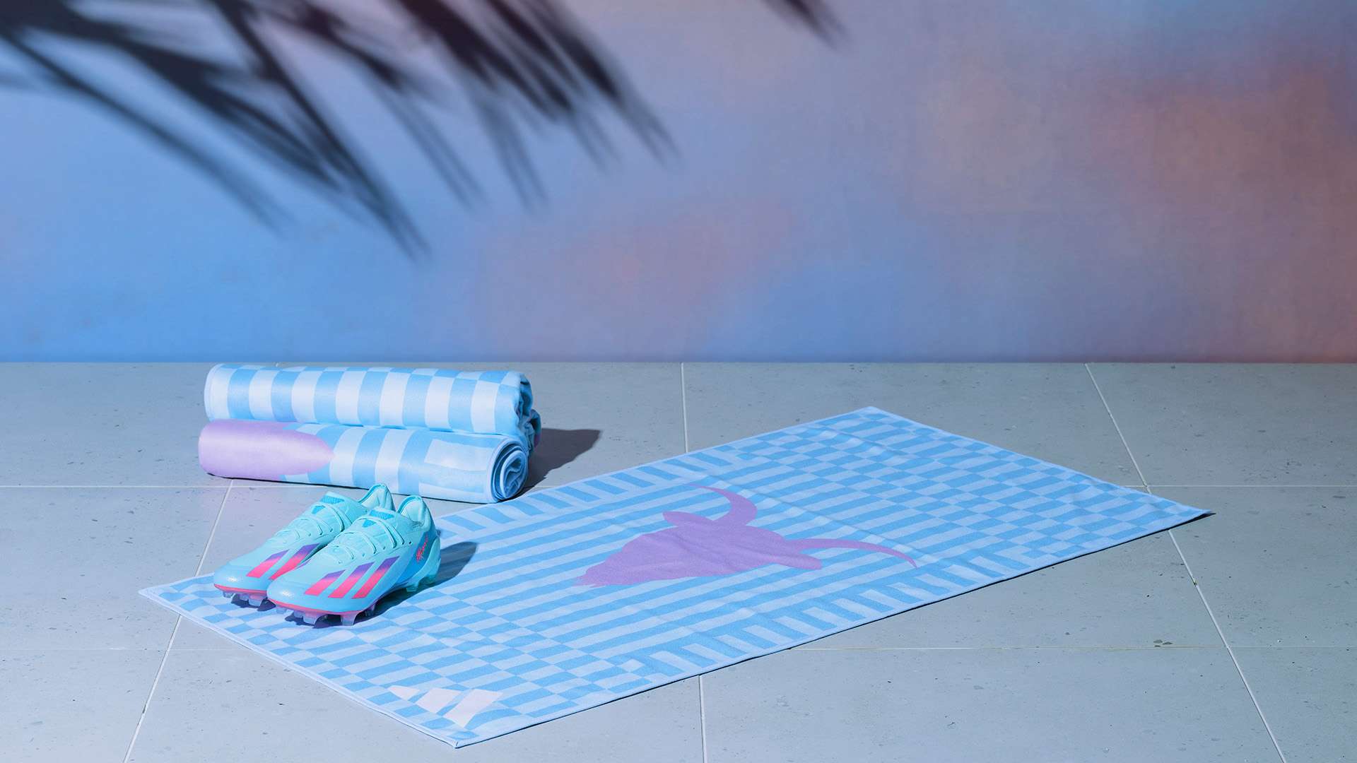 安排变得异 安排变得异